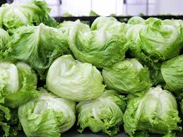 Lettuce Iceberg